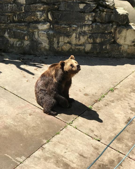 Wild- Und Freizeitpark